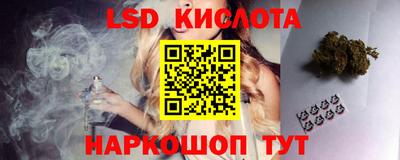 прущие грибы Свободный