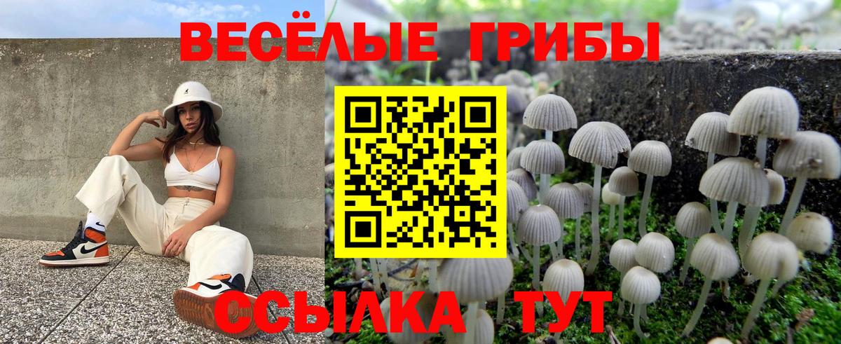 Псилоцибиновые грибы прущие грибы  Вход с VPN  Выкса  Псилоцибиновые грибы MAGIC MUSHROOMS 