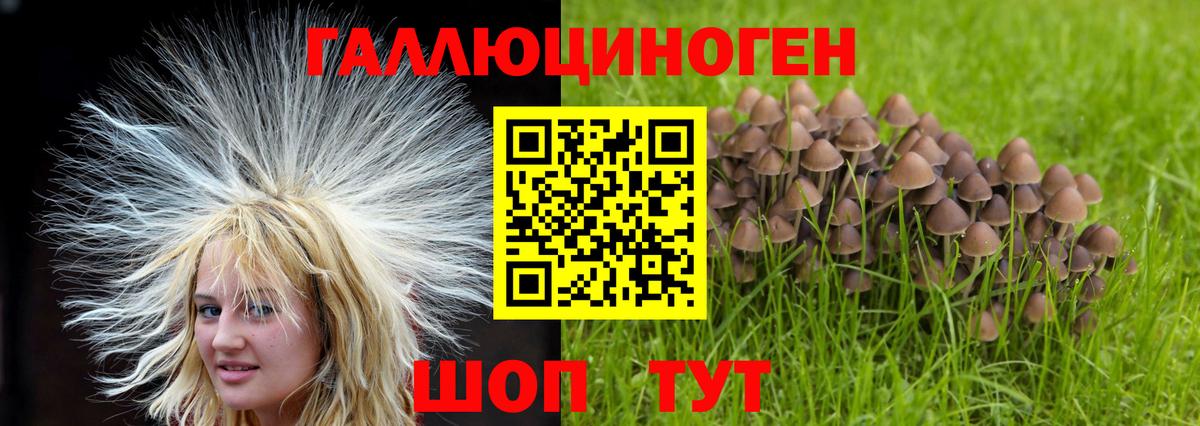 Псилоцибиновые грибы MAGIC MUSHROOMS Выкса